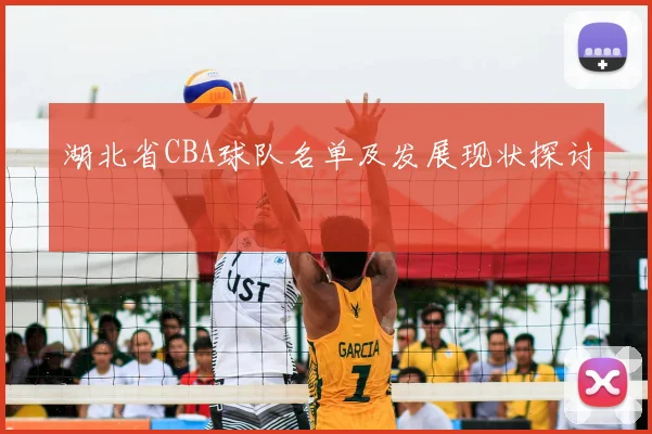 湖北省CBA球队名单及发展现状探讨