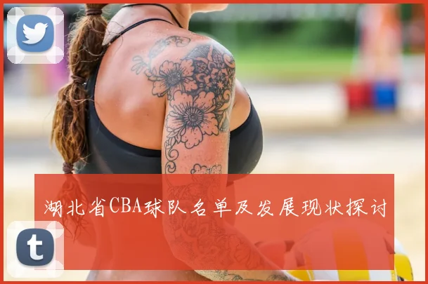 湖北省CBA球队名单及发展现状探讨